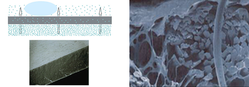 Hydrophilic (Non-Porous) Type