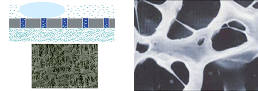 Micro-Porous Type