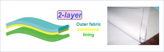 2-layer